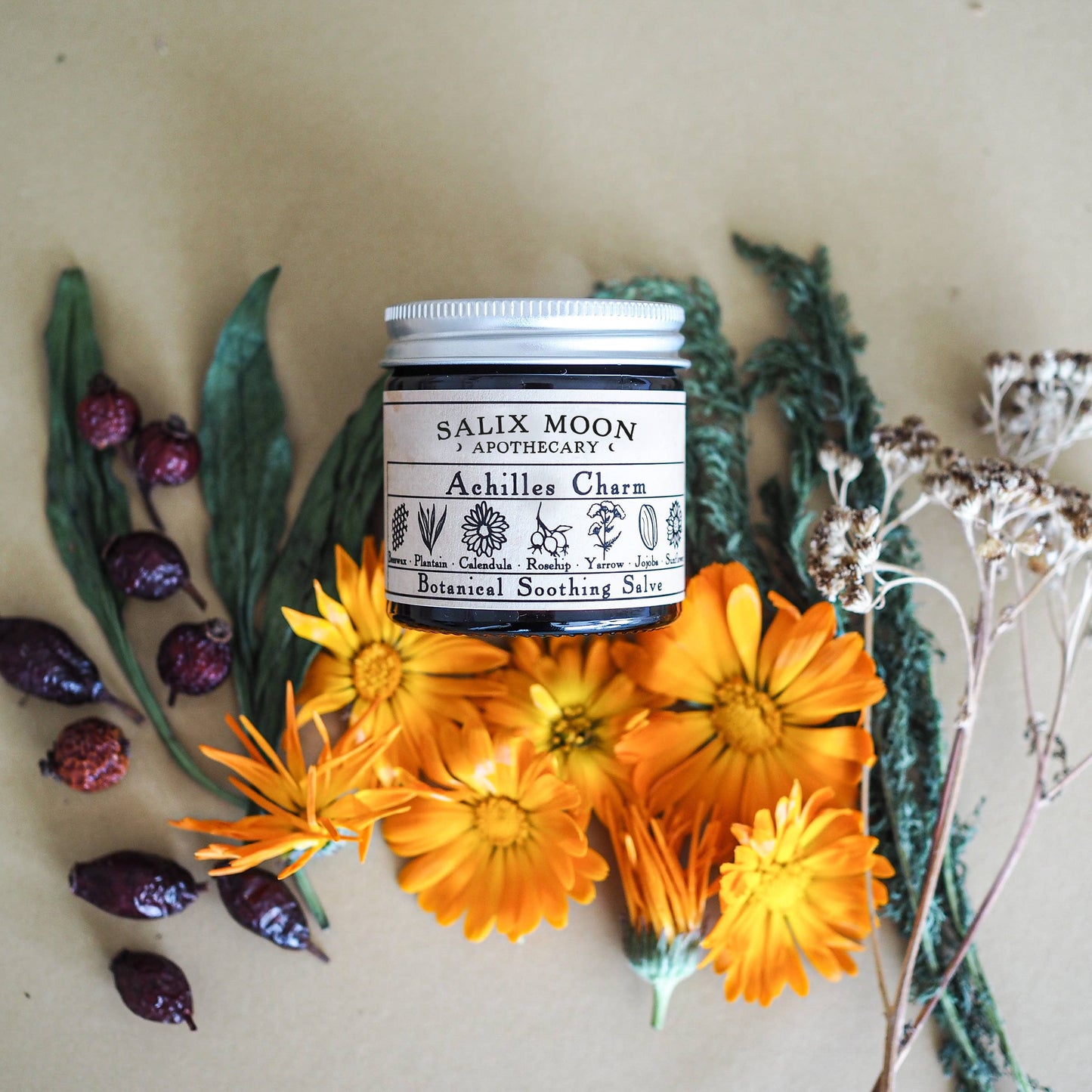 Botanical Healing Salve - Calendula, Yarrow, Plantain