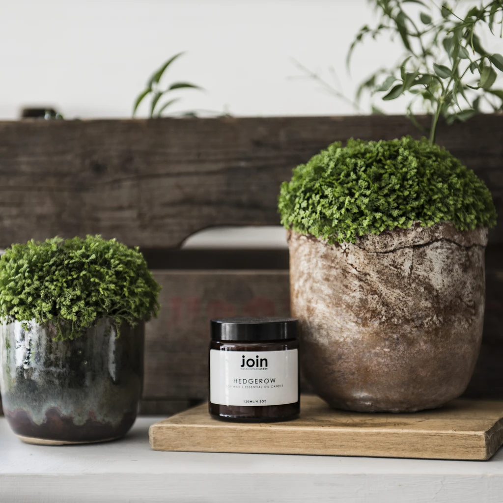 Hedgerow 120ml/4.2oz Candle