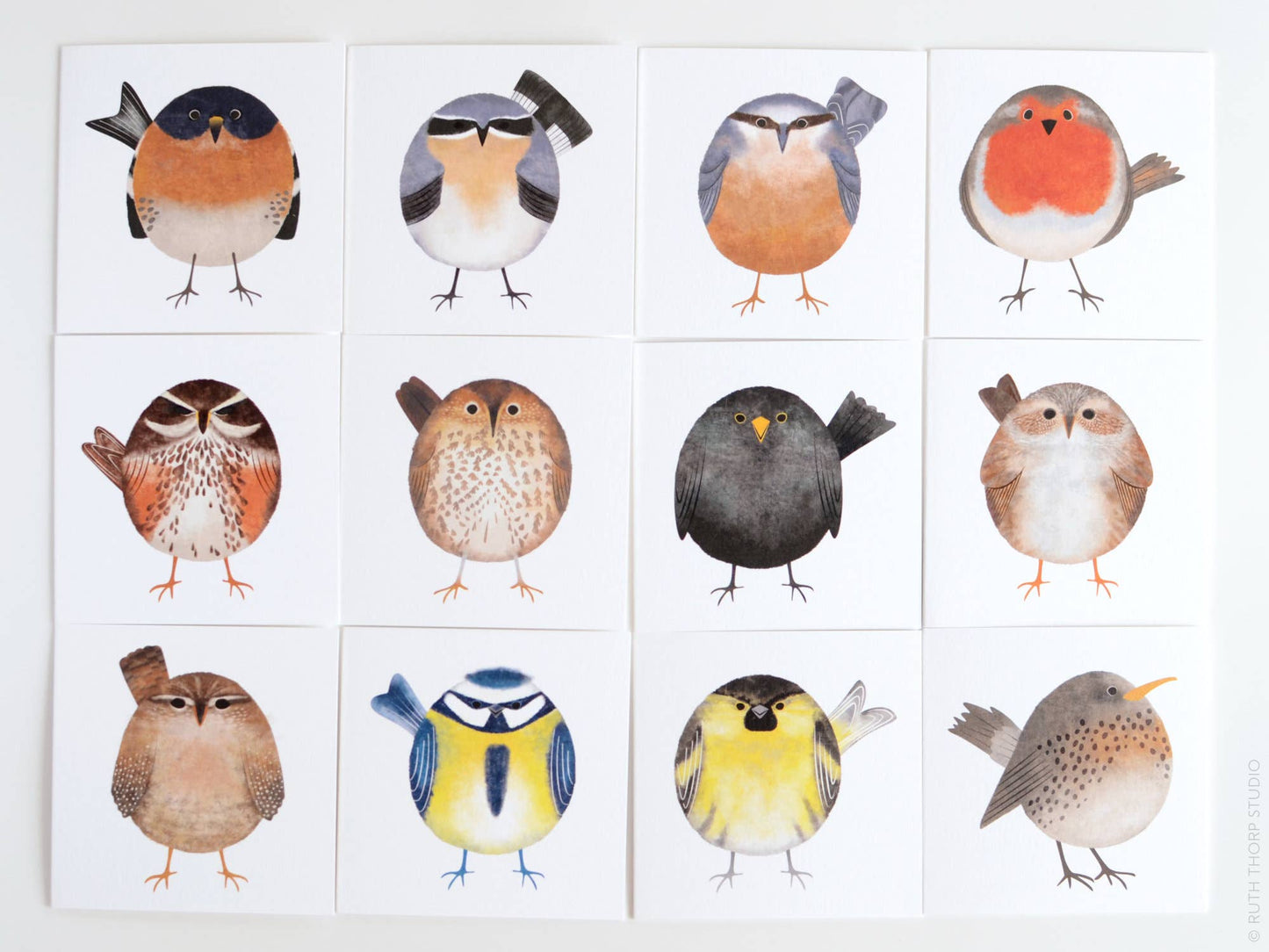 Box of 12 Small Notecards: Garden Birds Collection