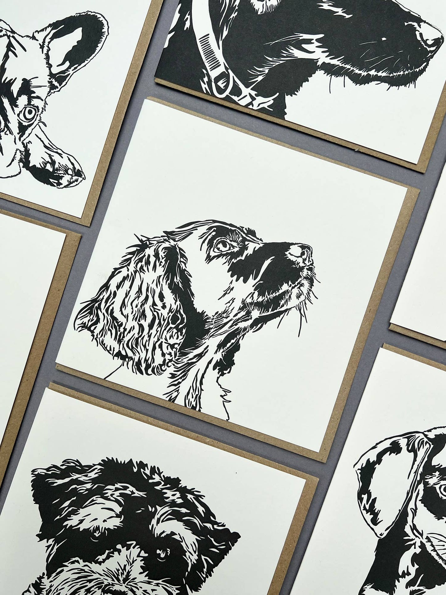 Spaniel Puppy Card