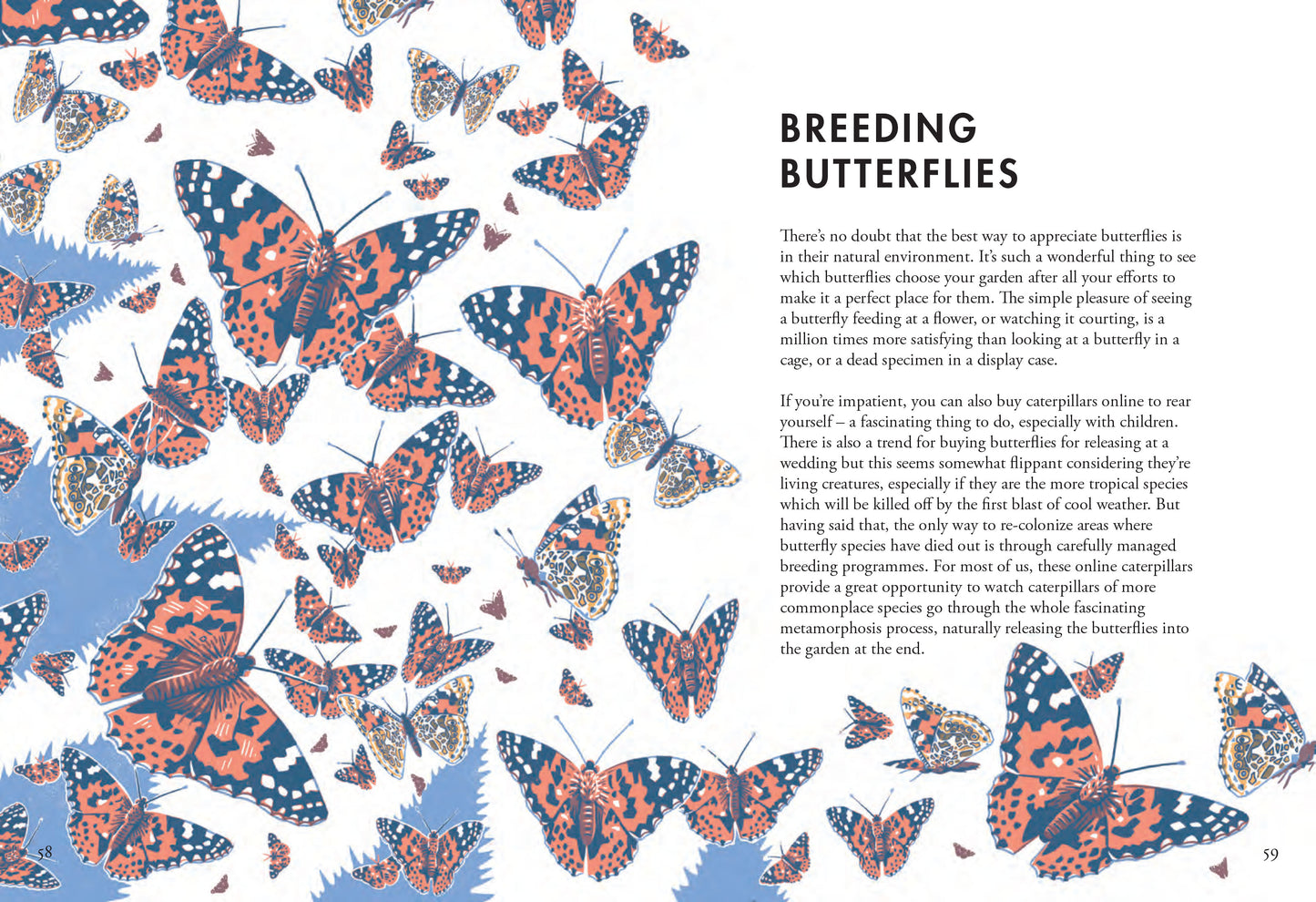 Planting for Butterflies - Jane Moore