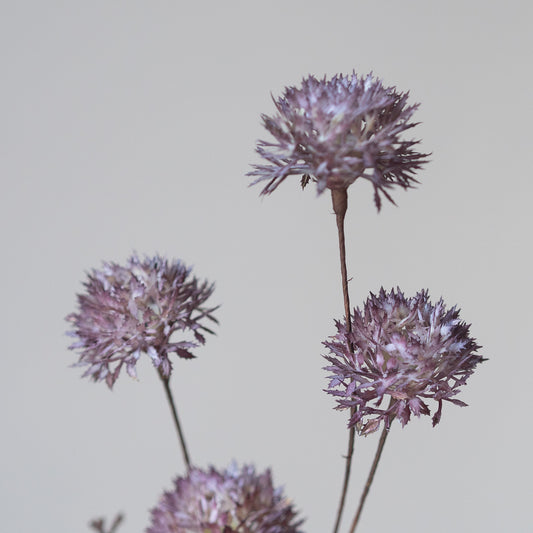 Melaleuca in Purple (Single Stem)