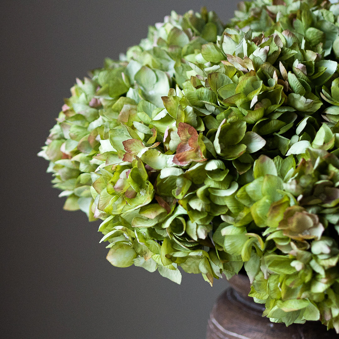 Hydrangea in Moss Green (Single Stem)