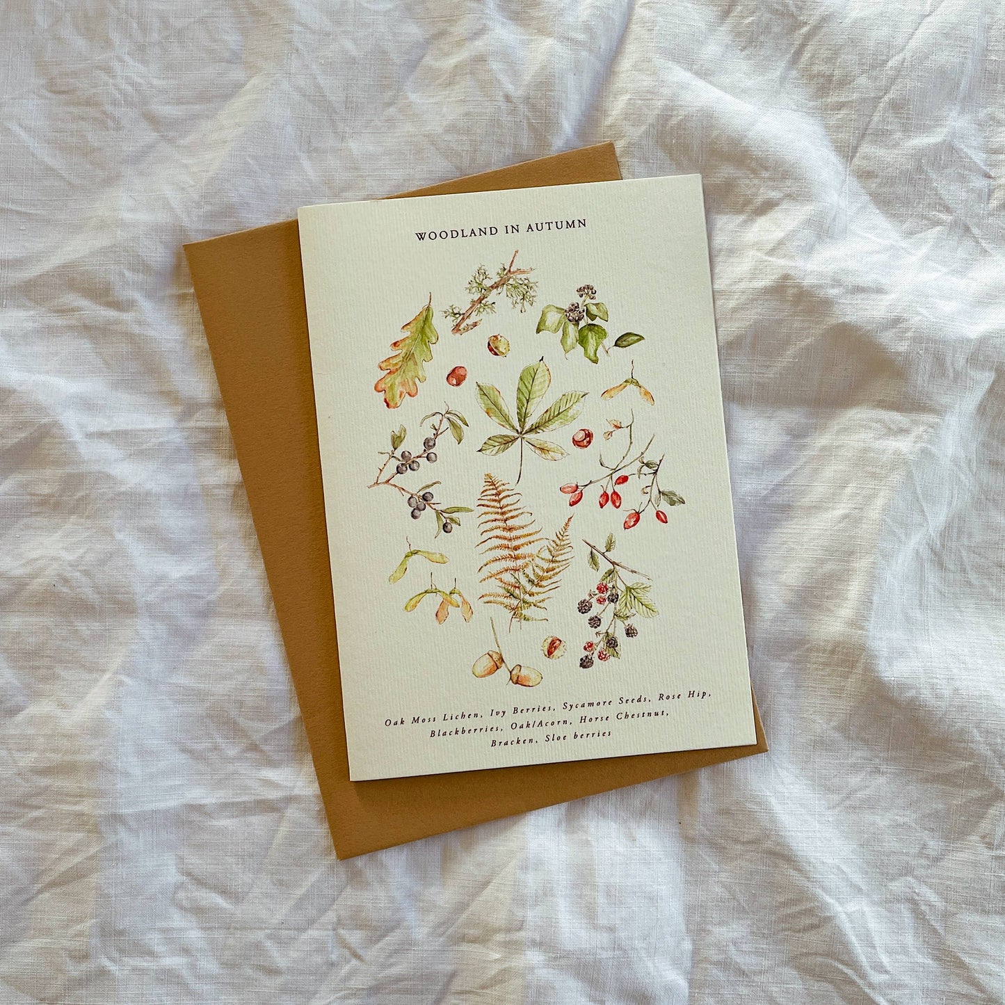 Luxury Seasonal Illustrated Botanical Wildflower Card Autumn