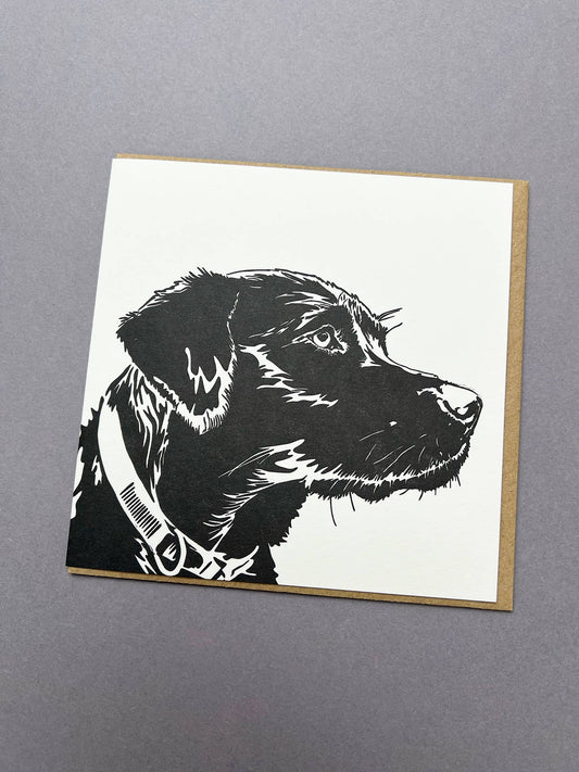 Labrador Puppy Card