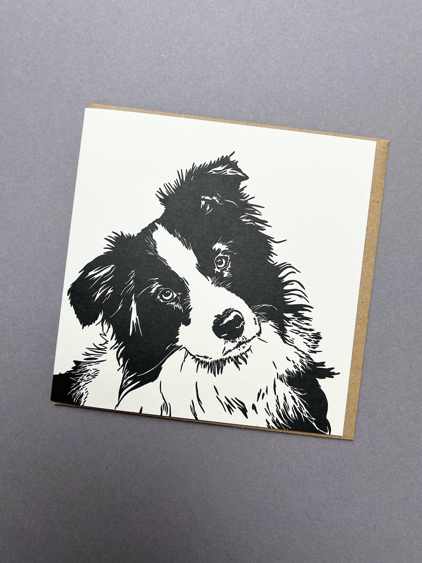 Border Collie Puppy Card