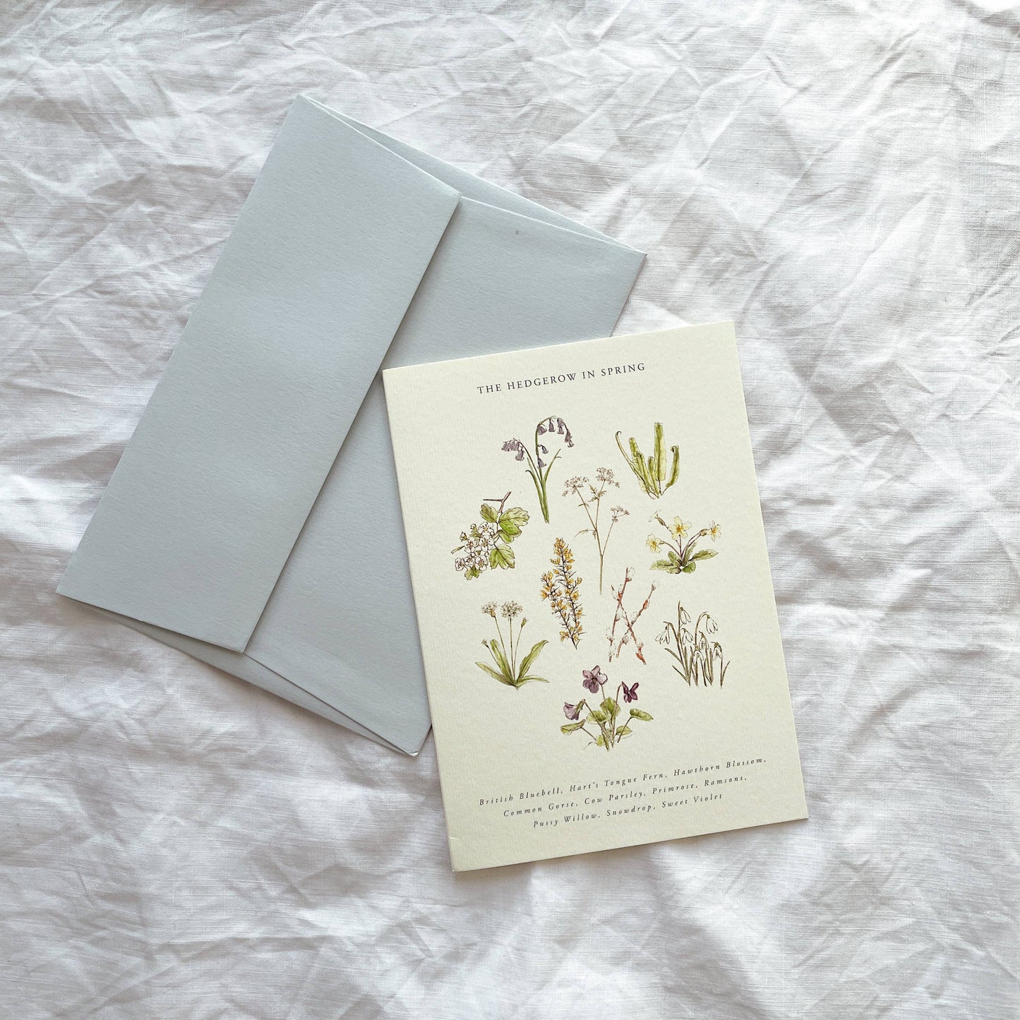 Luxury Seasonal Illustrated Botanical Wildflower Card Spring