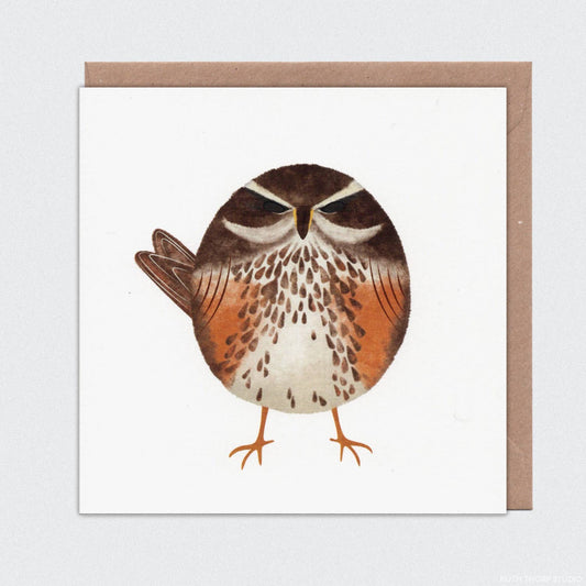 Redwing Individual Card: Garden Birds Collection