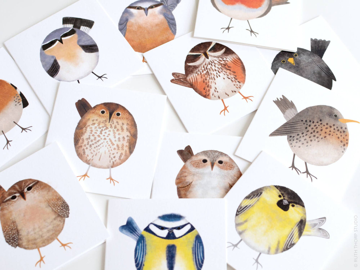 Box of 12 Small Notecards: Garden Birds Collection