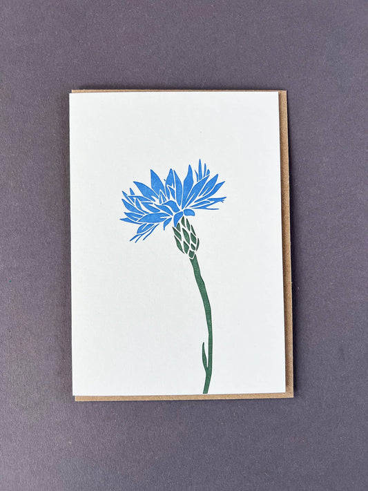 Cornflower Card
