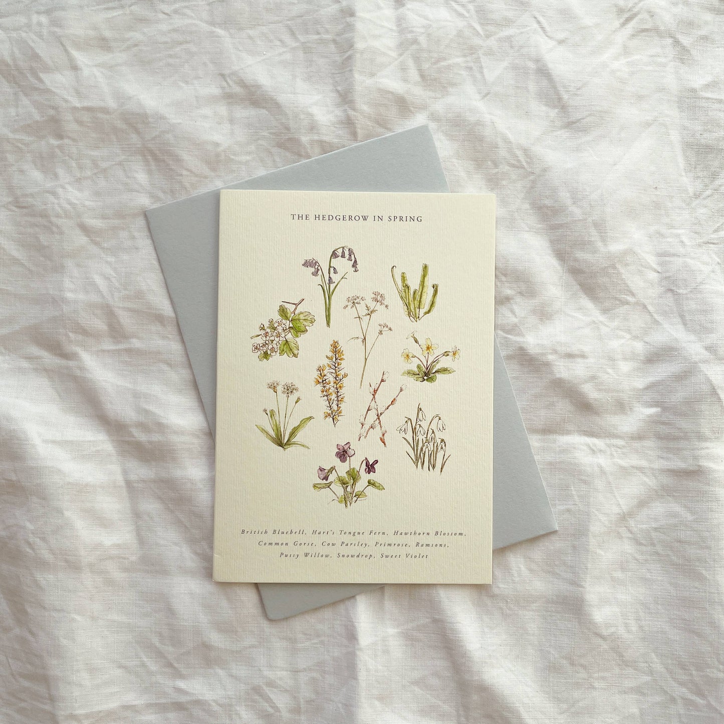 Luxury Seasonal Illustrated Botanical Wildflower Card Spring