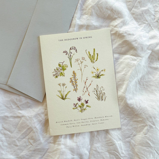 Luxury Seasonal Illustrated Botanical Wildflower Card Spring