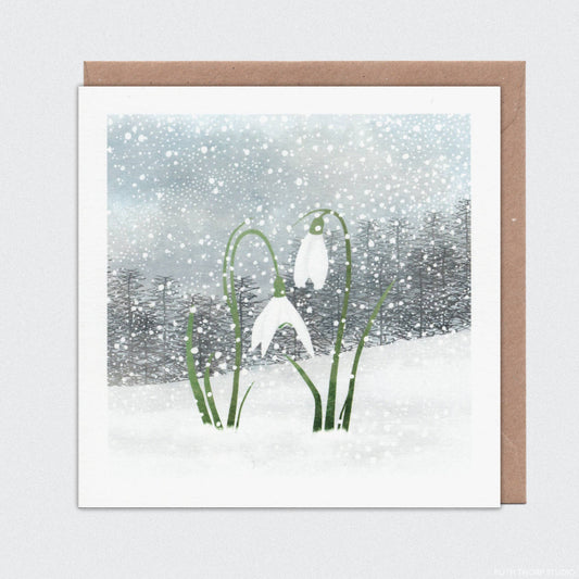 Snowdrops Individual Card: Winter Garden Collection