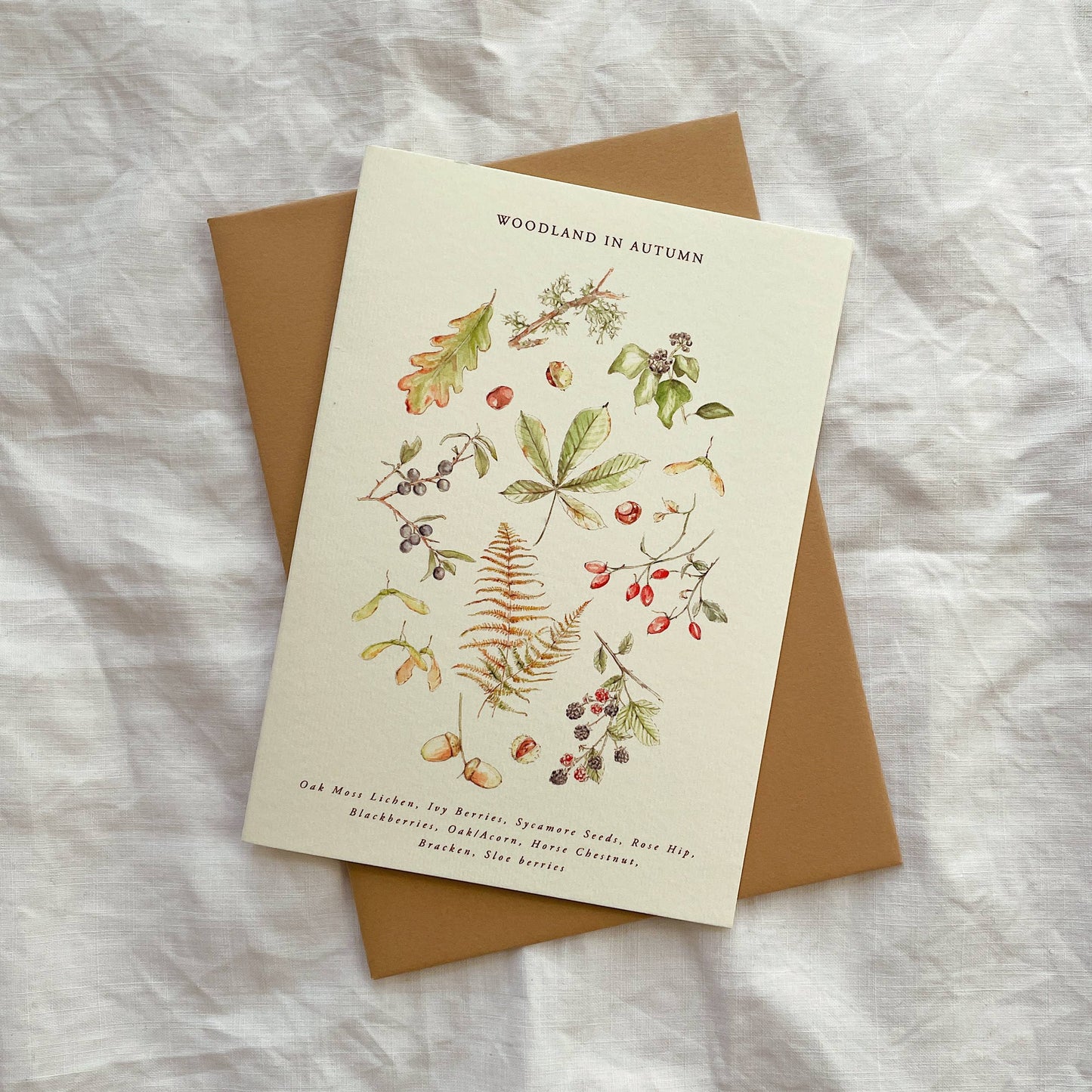 Luxury Seasonal Illustrated Botanical Wildflower Card Autumn