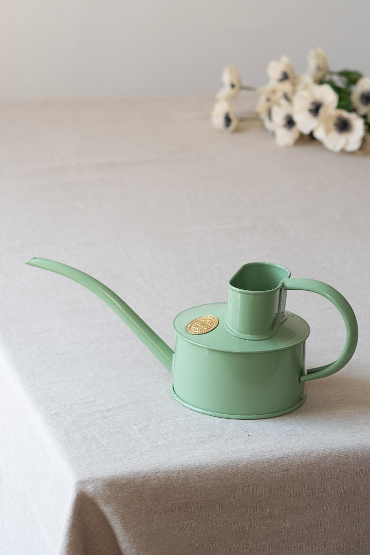 Houseplant Waterering Can (1 pint)
