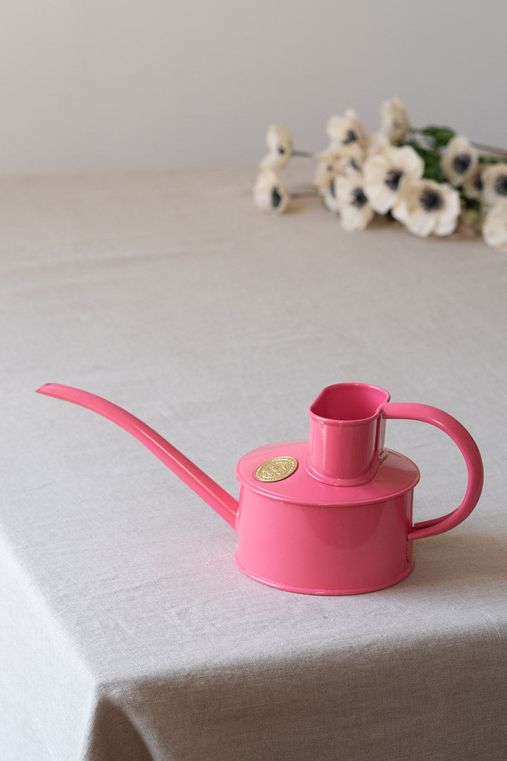 Houseplant Waterering Can (1 pint)
