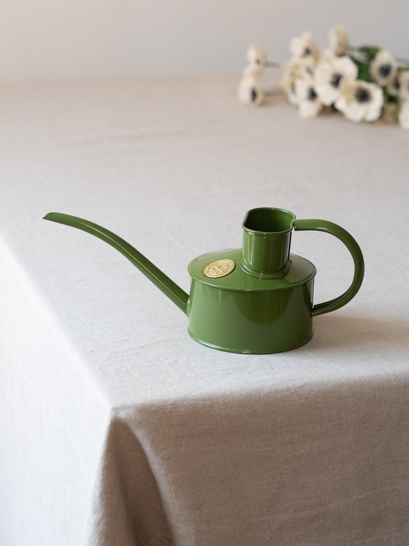 Houseplant Waterering Can (1 pint)