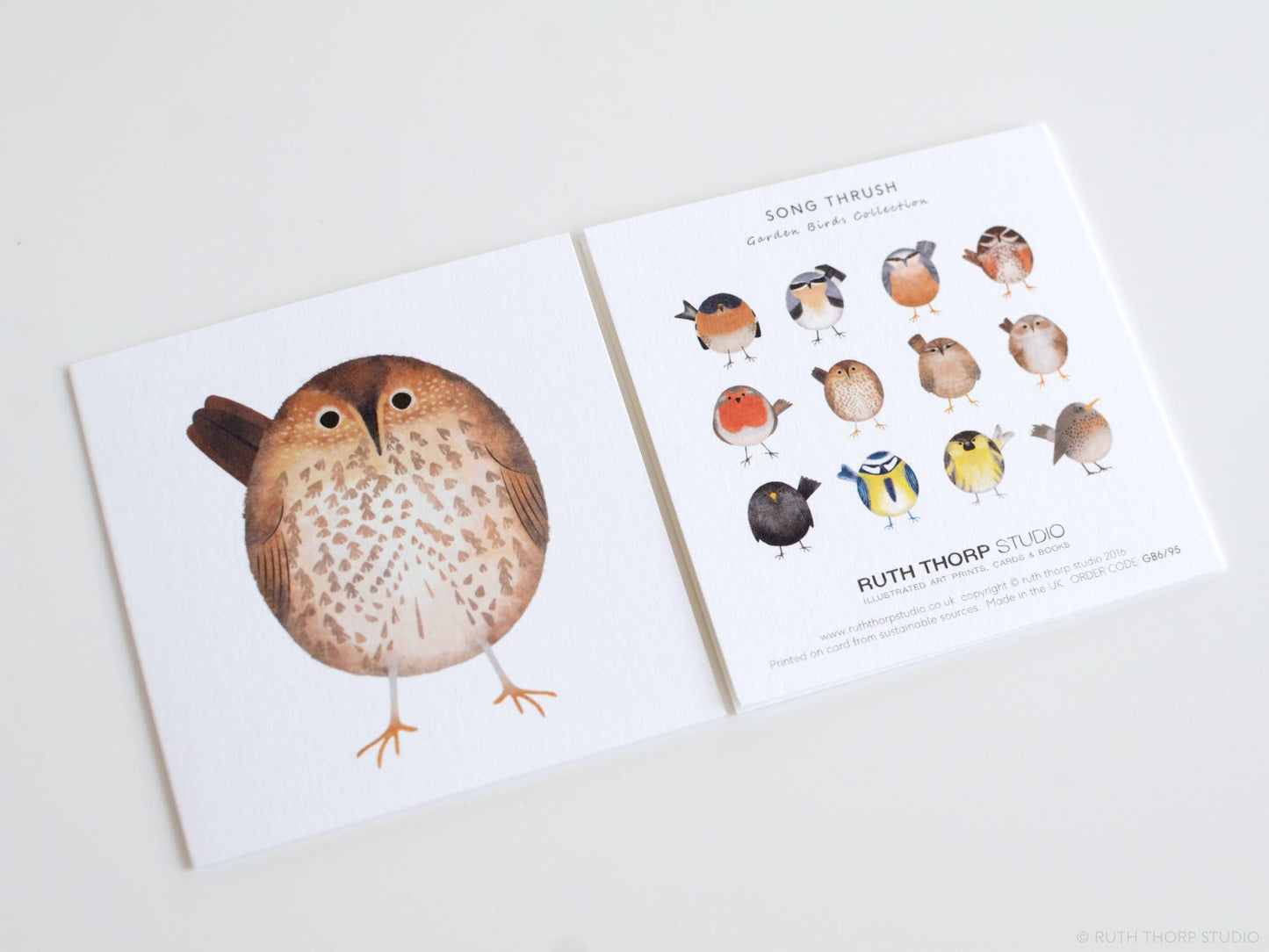 Box of 12 Small Notecards: Garden Birds Collection
