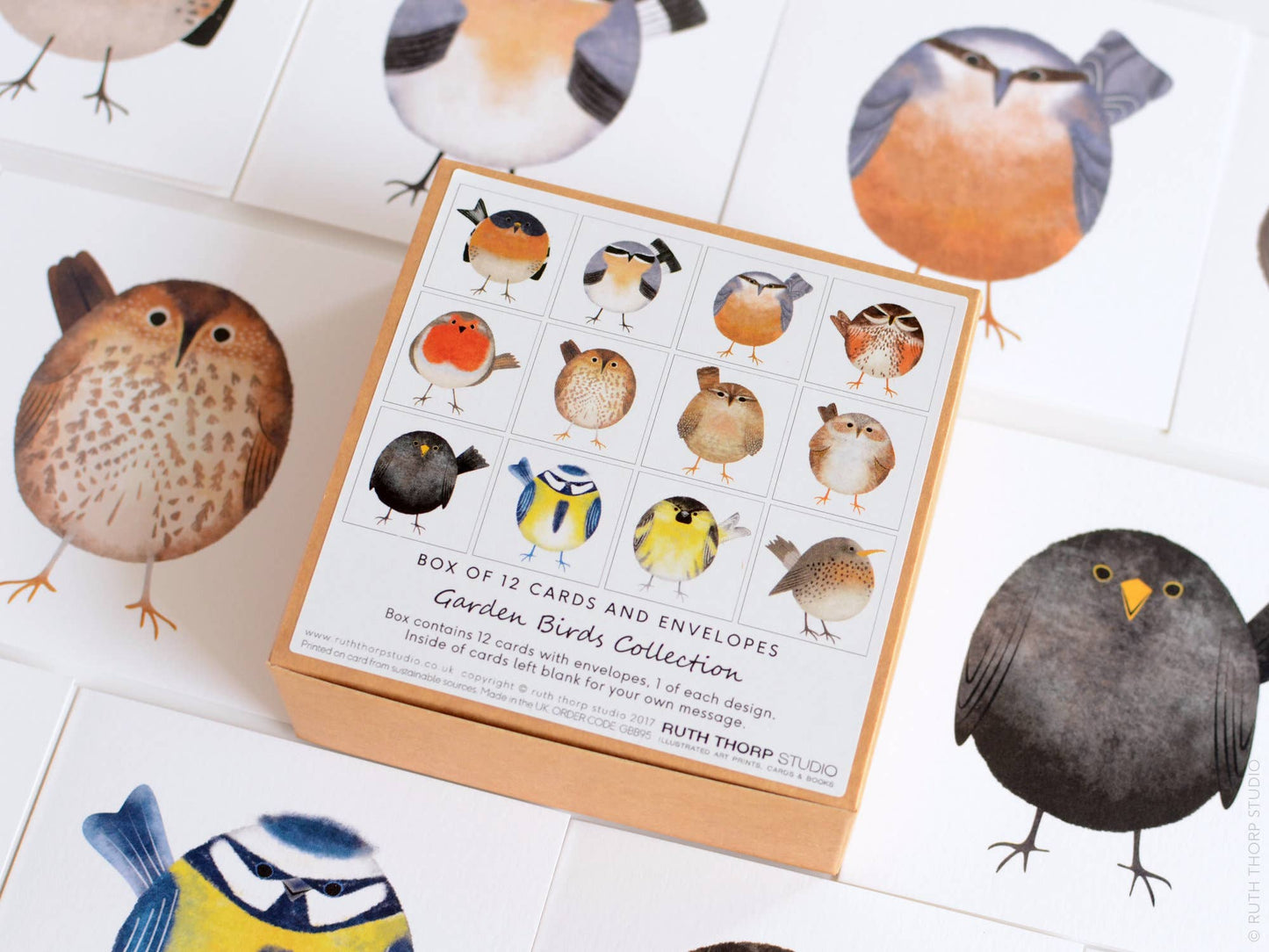 Box of 12 Small Notecards: Garden Birds Collection