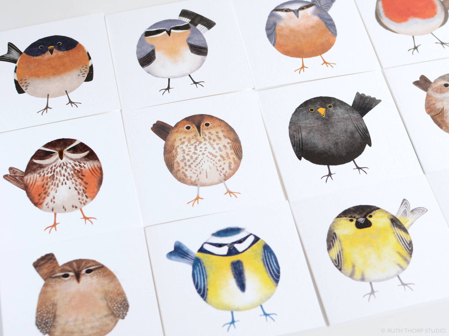 Box of 12 Small Notecards: Garden Birds Collection