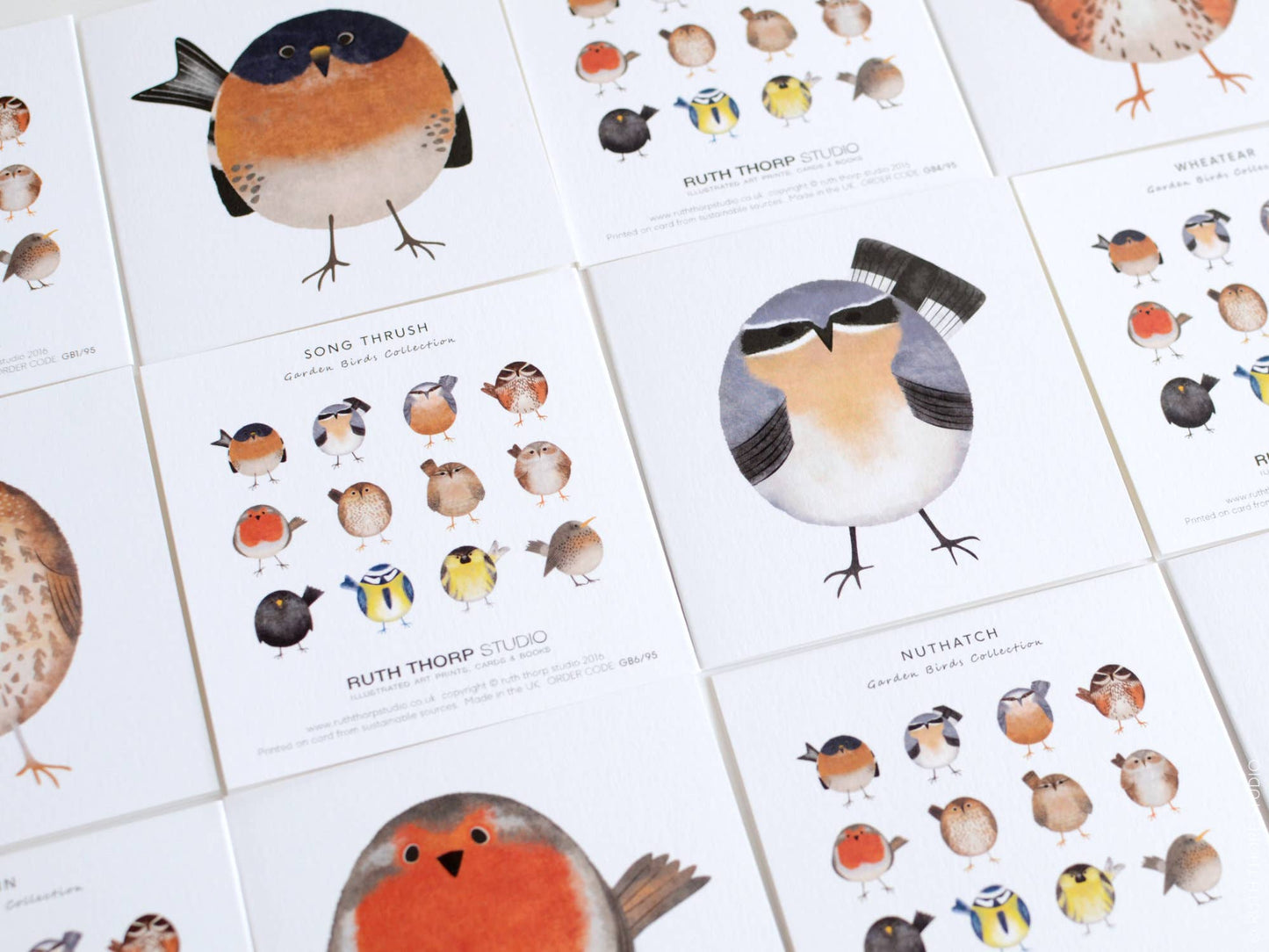 Box of 12 Small Notecards: Garden Birds Collection