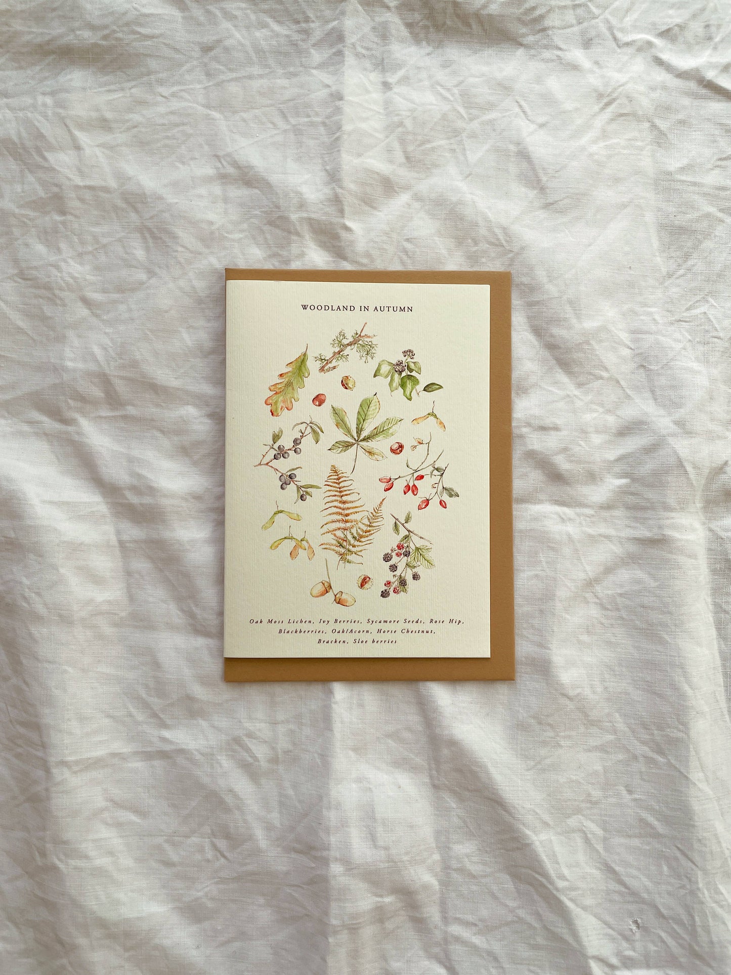 Luxury Seasonal Illustrated Botanical Wildflower Card Autumn