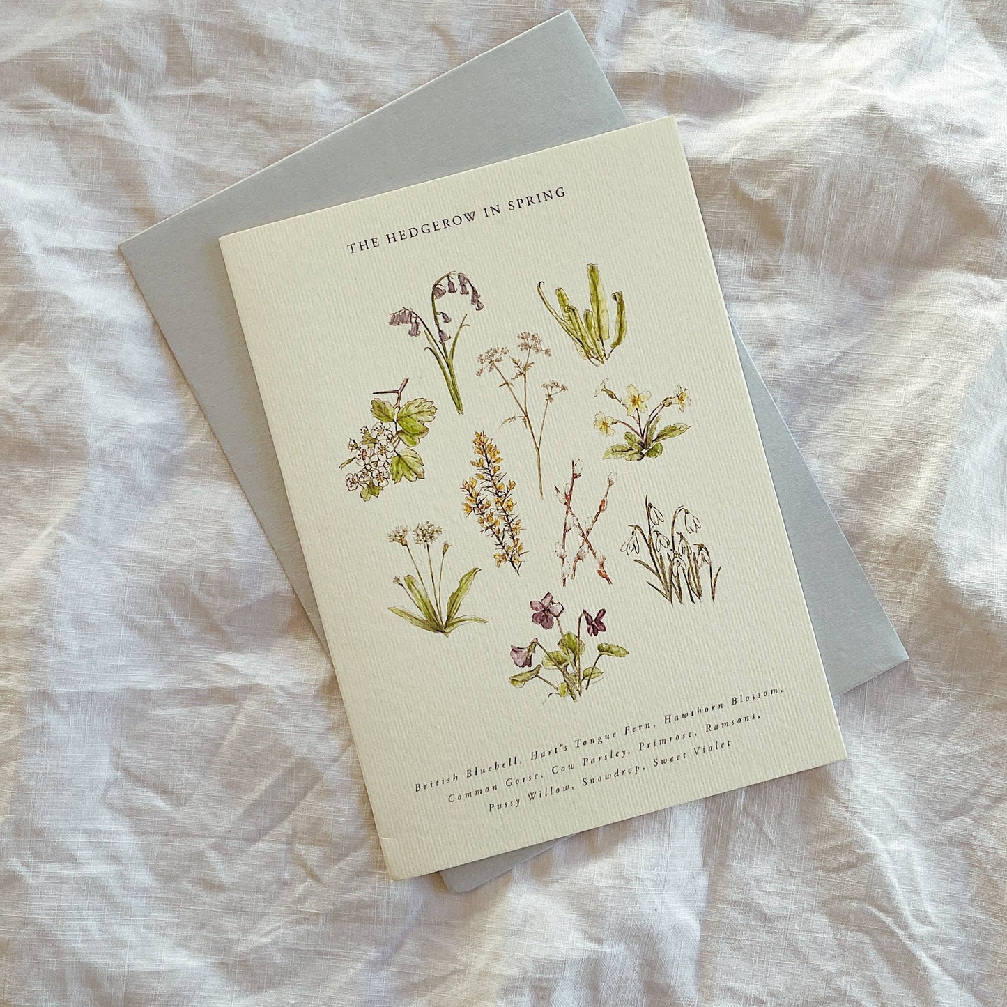 Luxury Seasonal Illustrated Botanical Wildflower Card Spring