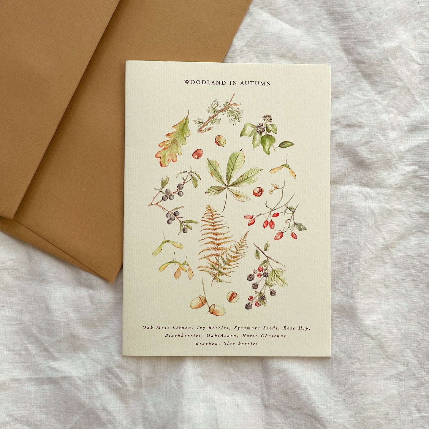 Luxury Seasonal Illustrated Botanical Wildflower Card Autumn