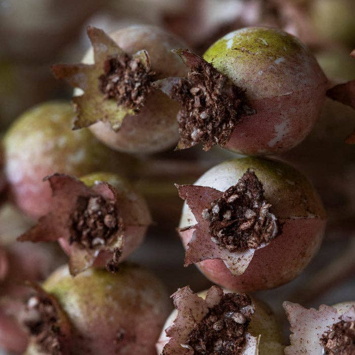 Artificial Rose Hip Bunch Blush