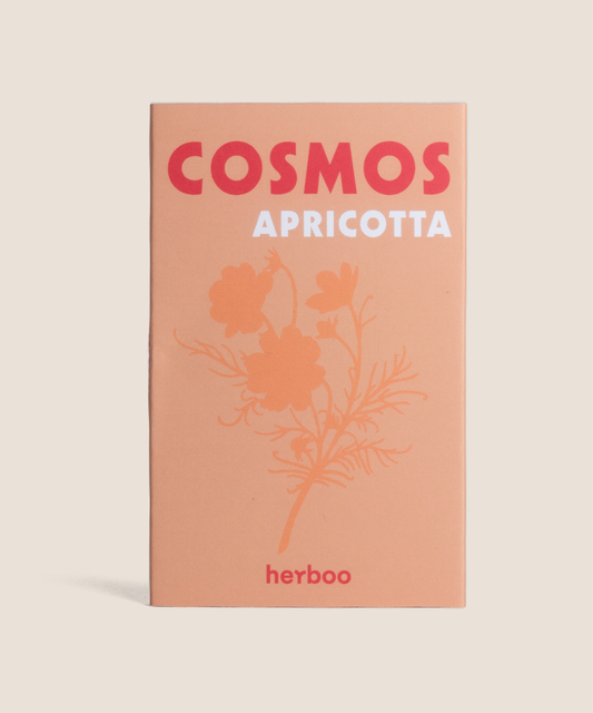 Cosmos 'Apricotta' Seeds