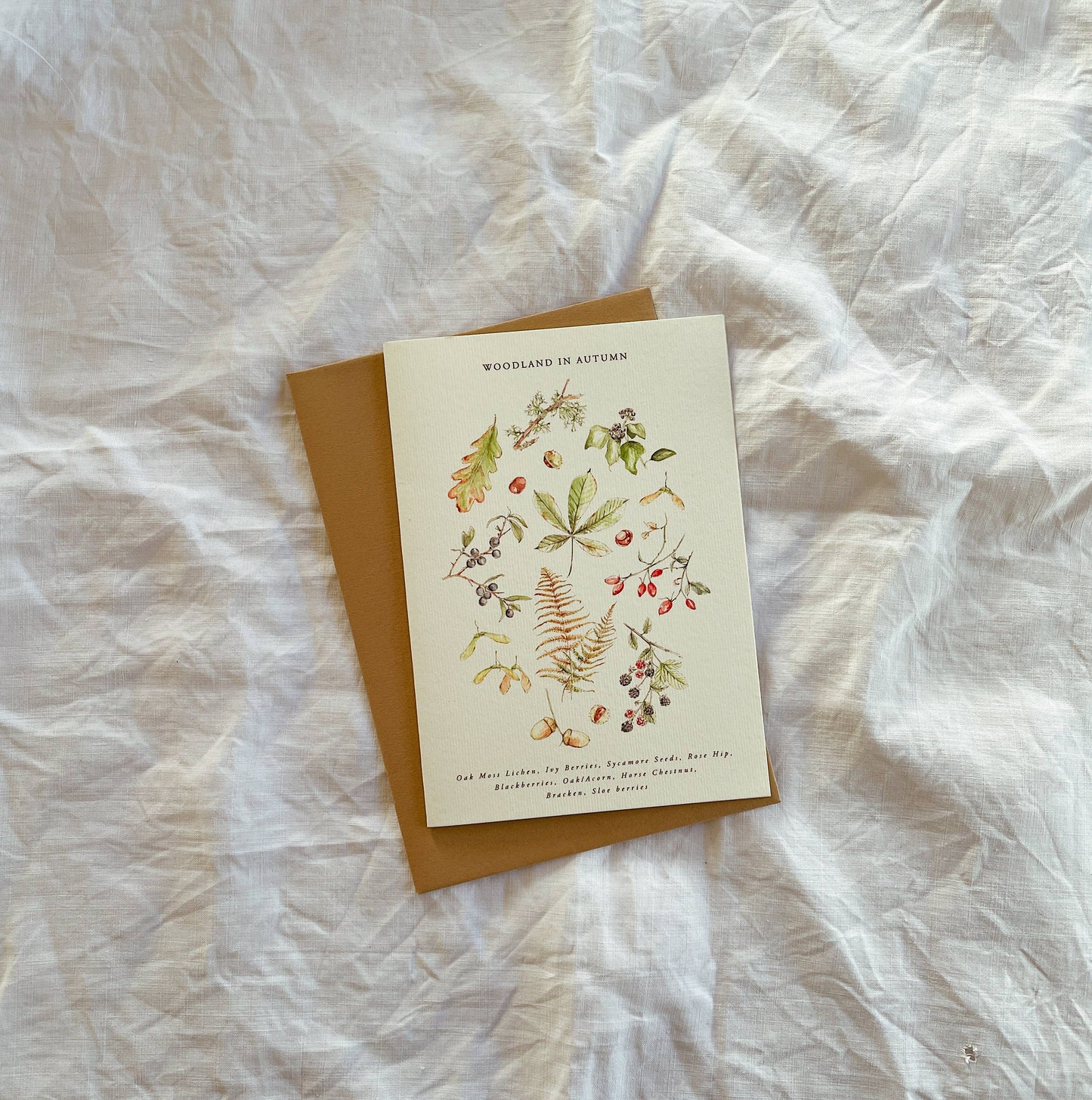 Luxury Seasonal Illustrated Botanical Wildflower Card Autumn