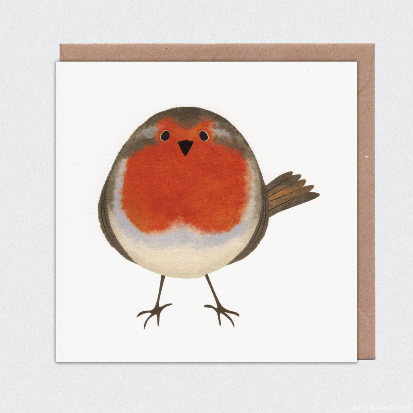 Robin Individual Card: Garden Birds Collection