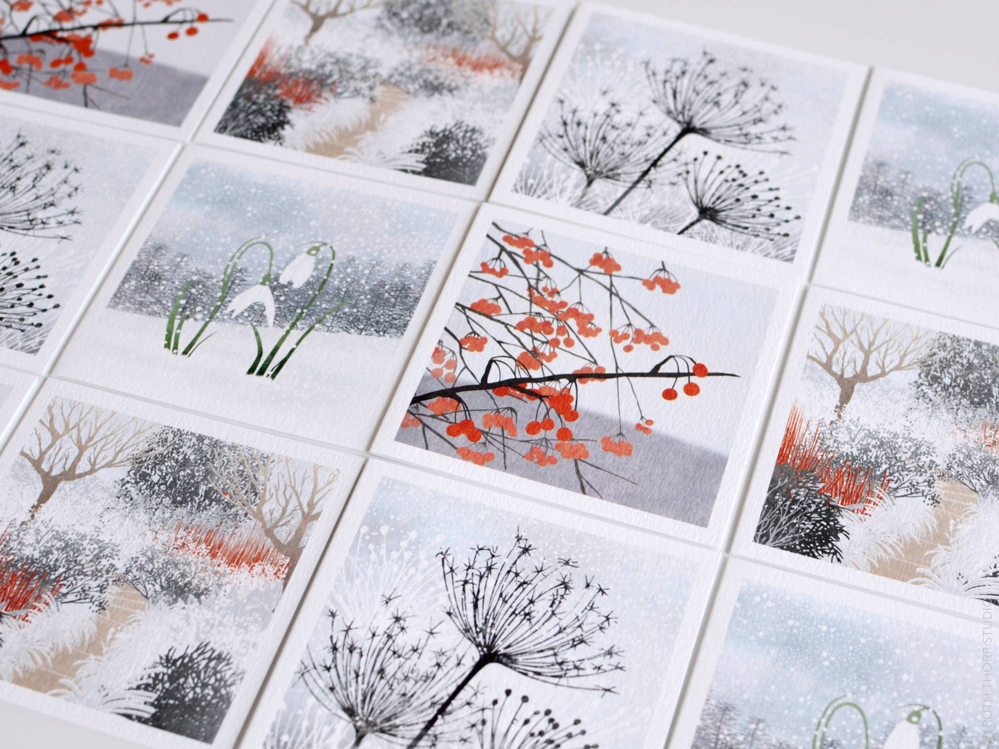 Box of 12 Small Notecards: Winter Garden Collection