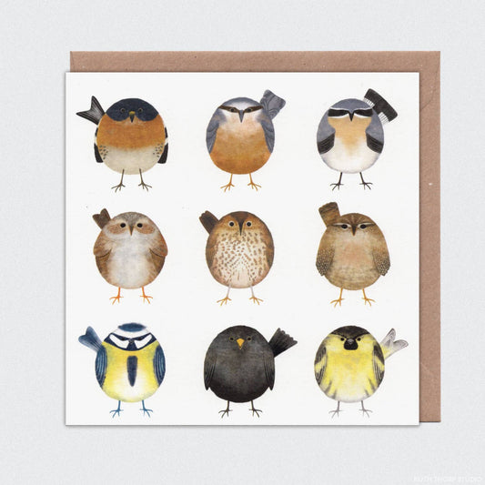 Garden Birds Individual Card: Garden Birds Collection