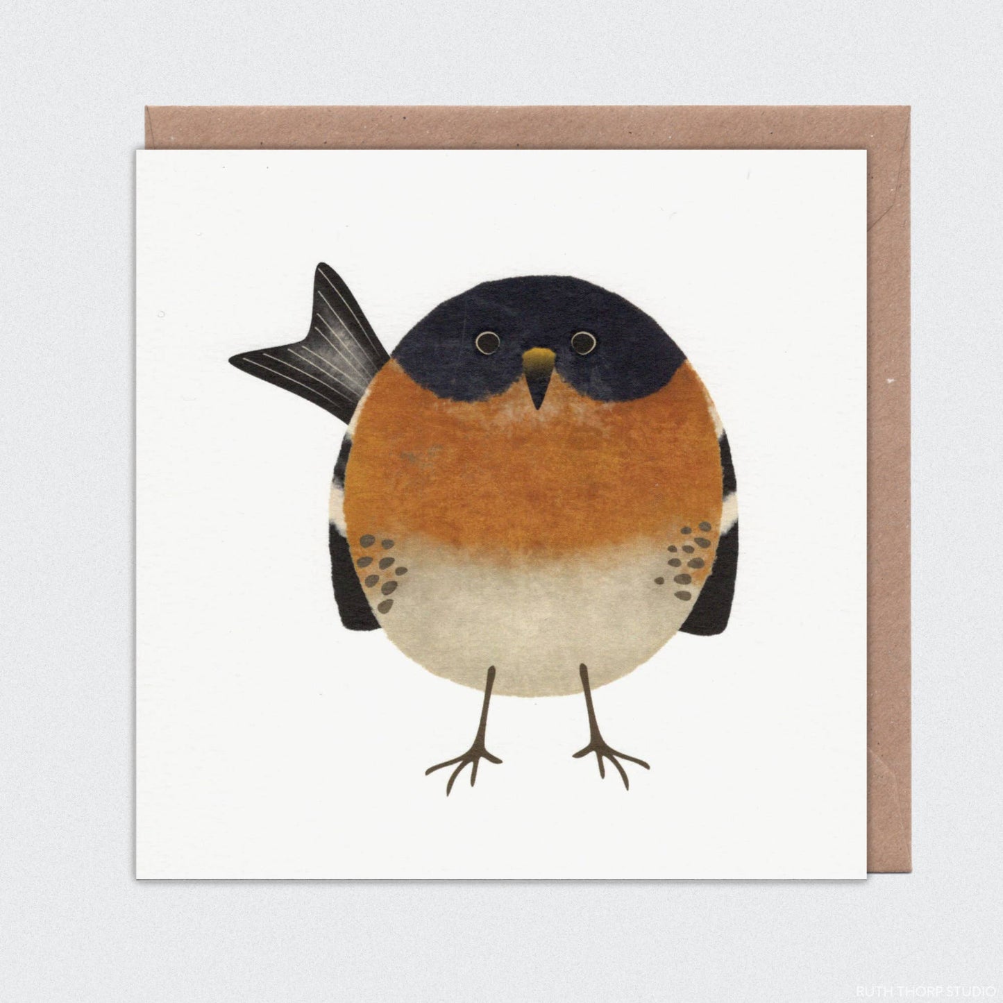 Brambling Individual Card: Garden Birds Collection