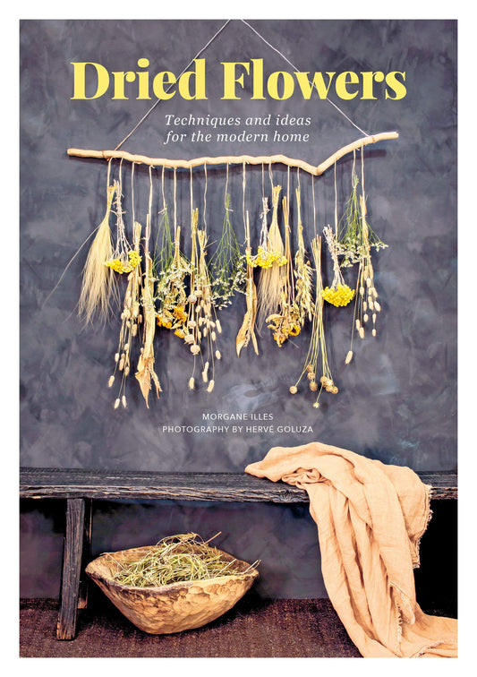 Dried Flowers - Morgane Illes
