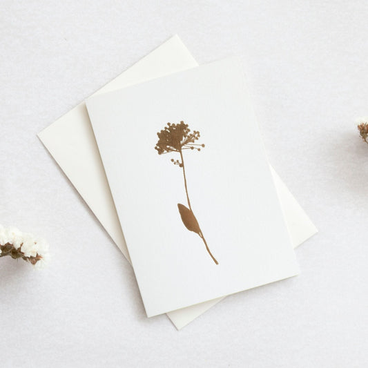 Foil Blocked Allium Card - Brass on Ivory