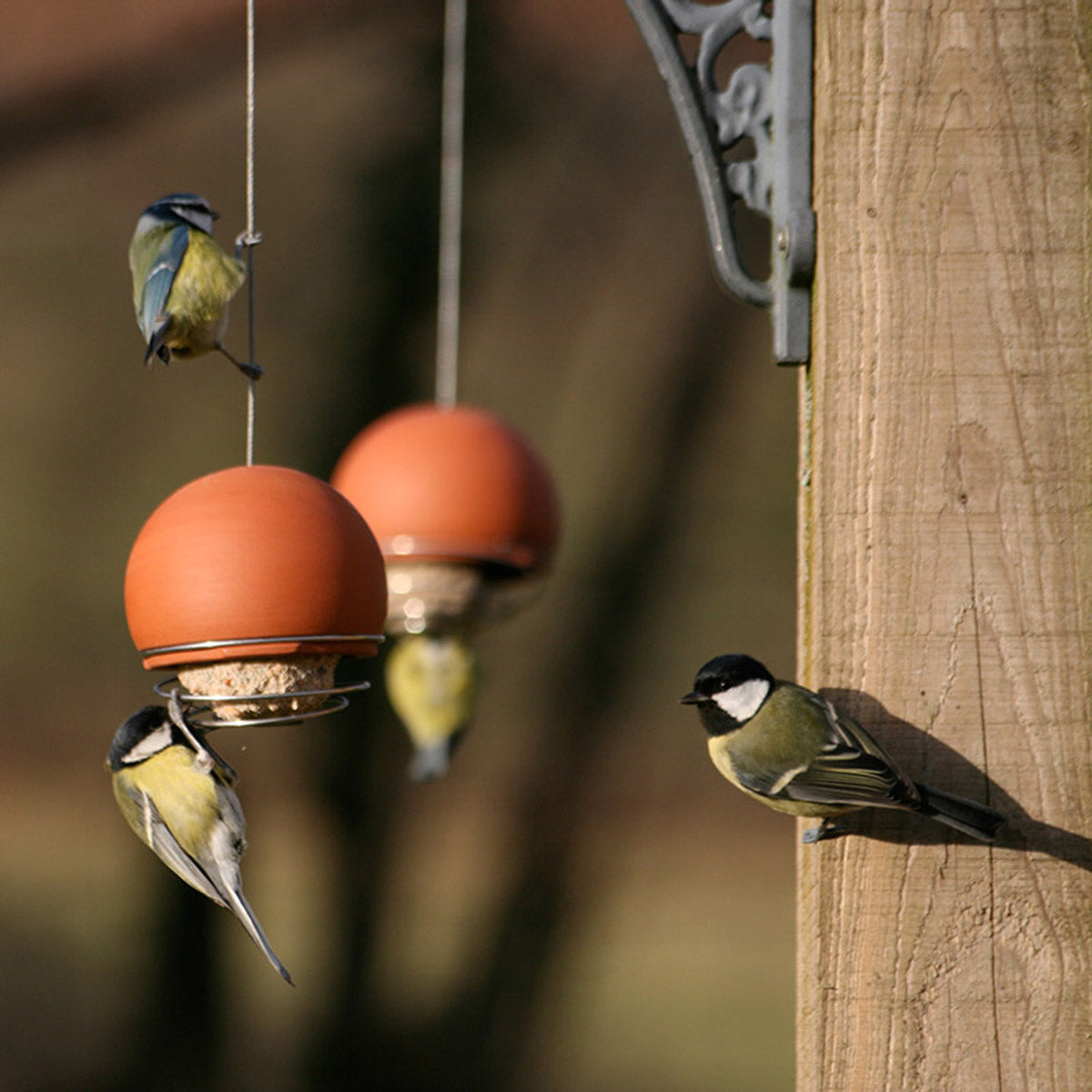 Birdball Fatball Bird Feeder - Terracotta