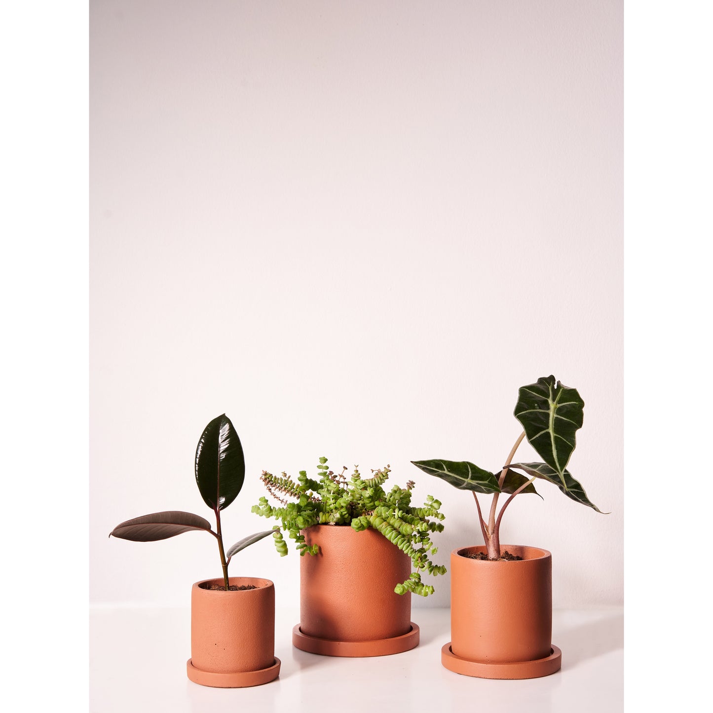 Round Concrete plant pot in brick