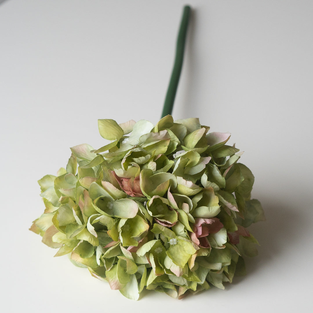 Hydrangea in Moss Green (Single Stem)