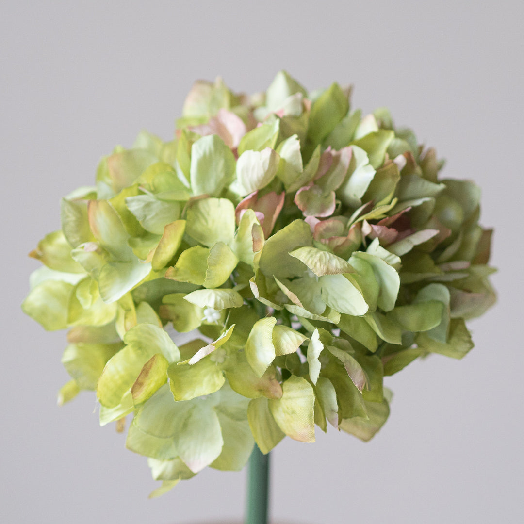 Hydrangea in Moss Green (Single Stem)