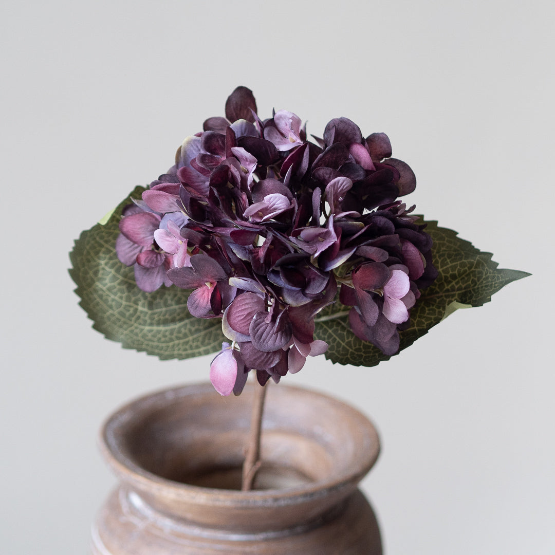 Hydrangea in Damson (Single Stem)