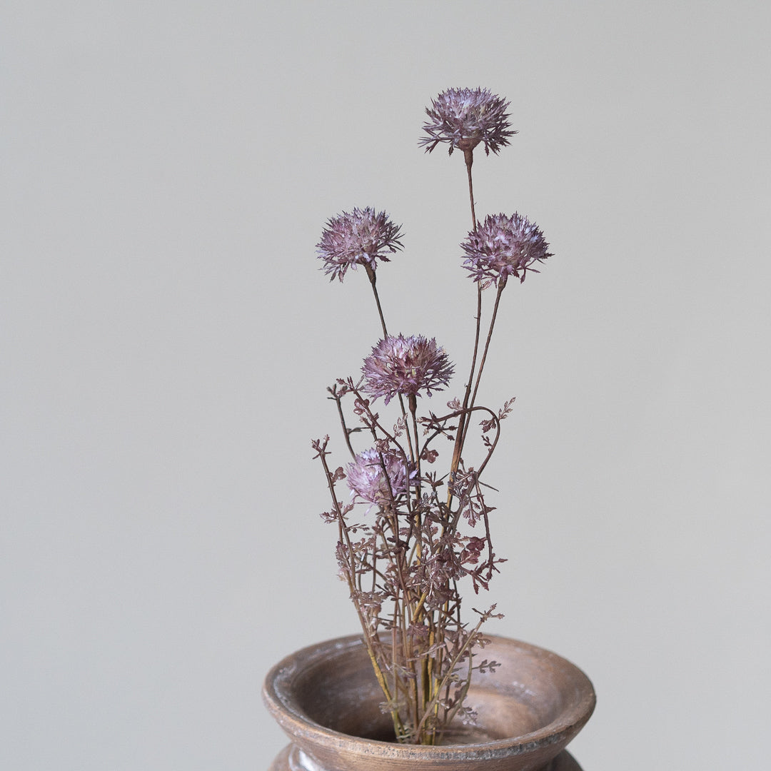 Melaleuca in Purple (Single Stem)