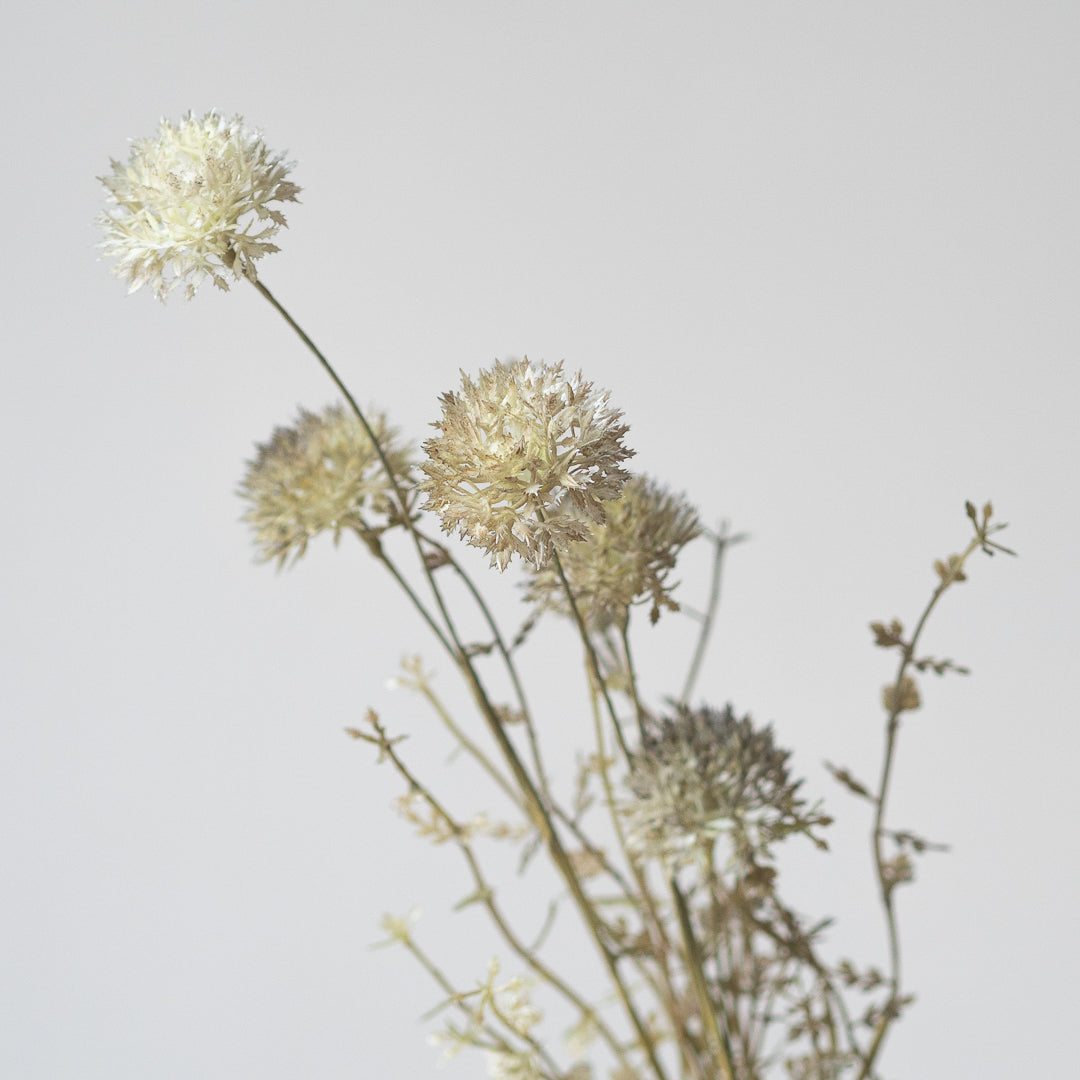 Melaleuca in Dusk (Single Stem)