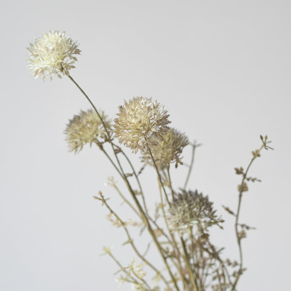 Melaleuca in Dusk (Single Stem) – The Frostery Living