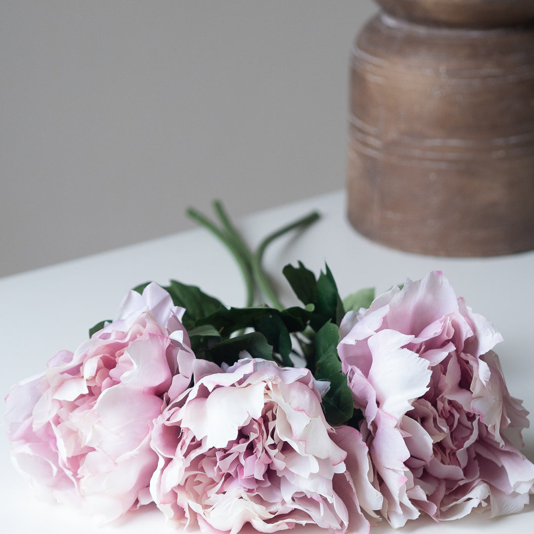 Peony in Rouge (Single Stem)