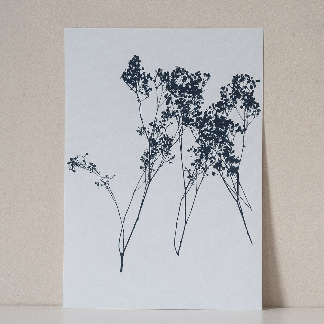 Quiet A4 print by Verity Burton