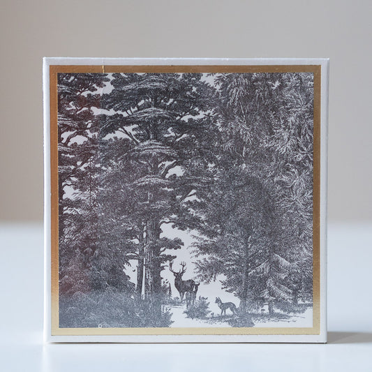 Luxury Square Matchbox - Enchanted Forest