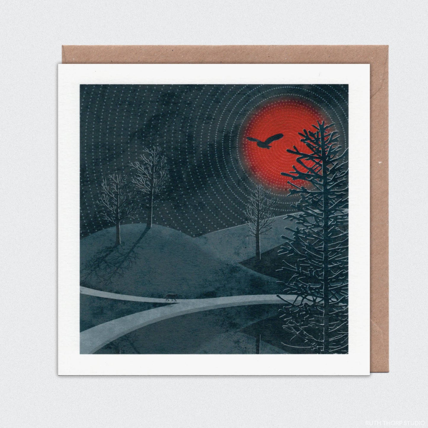 Midnight Sun Individual Card: Northern Sun Collection