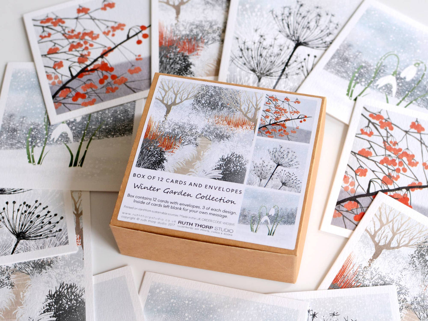 Box of 12 Small Notecards: Winter Garden Collection